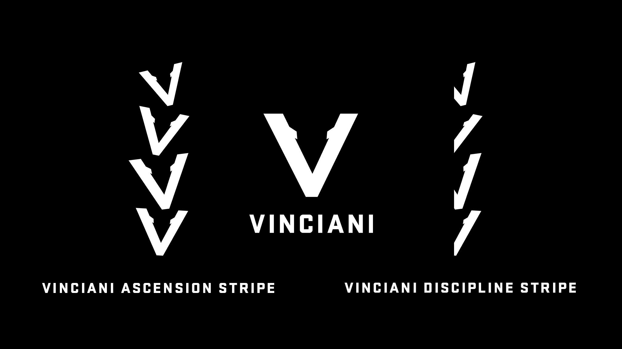 Official Vinciani visual identity guide featuring the V-Mark, Ascension Stripe and Discipline Stripe. The signature design language of the House of Strength, Discipline and Design.