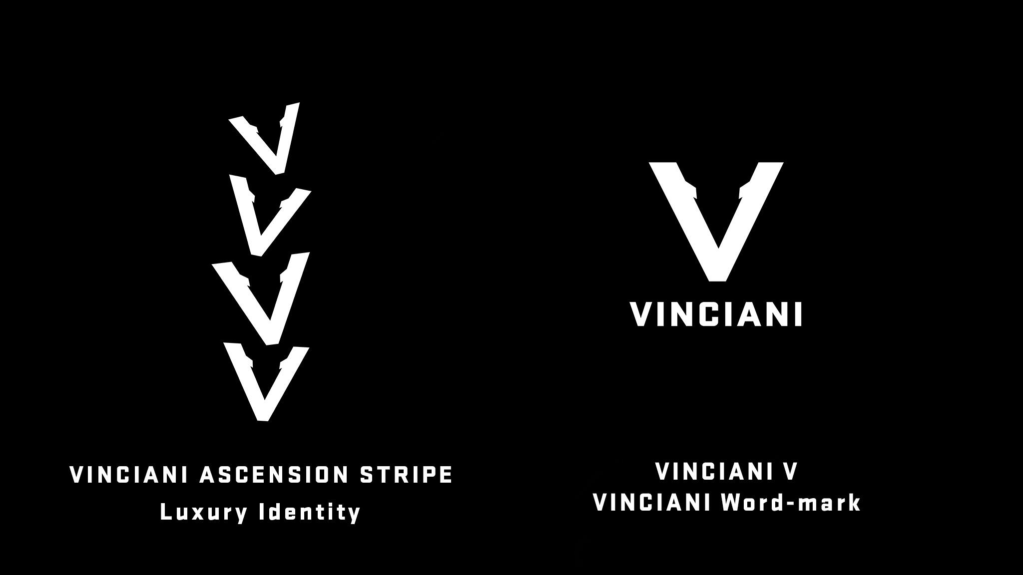 Official Vinciani visual identity guide featuring the V-Mark, Ascension Stripe and Discipline Stripe. The signature design language of the House of Strength, Discipline and Design.